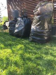 Cistilna akcija na Gomili, 2020 (2)